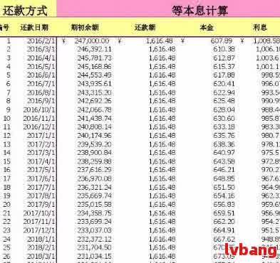 分期在线计算，便捷金融解决方案的崛起